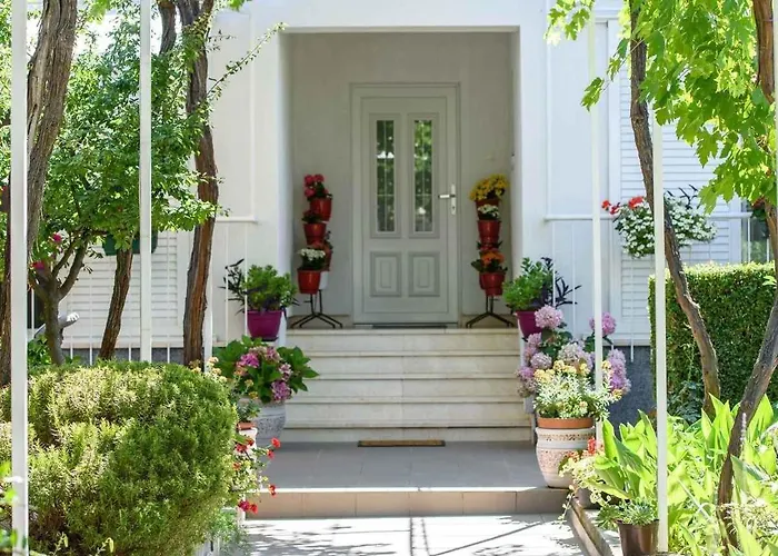 Beachfront In 54815 *